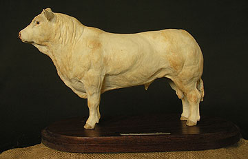 Blonde d'Aquitaine Bull