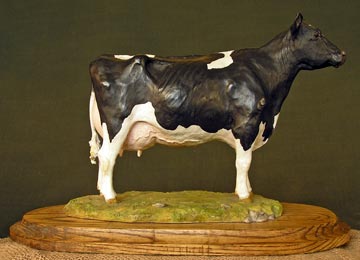 British Holstein Cow