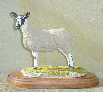 Mule-Gimmer-Lamb