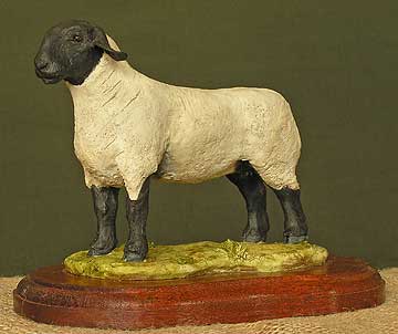 Suffolk Ewe Lamb